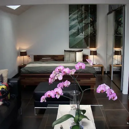 Holiday home &